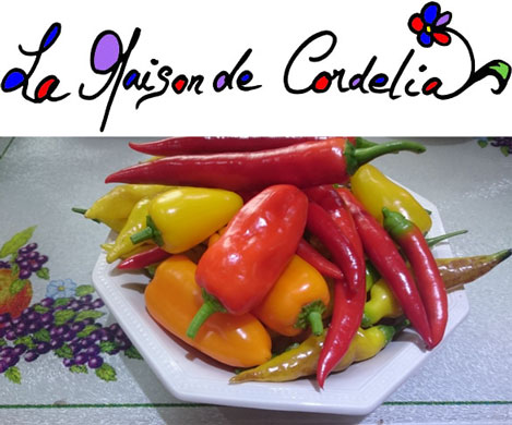 lamaisondecordeliacolourlogo2.jpg